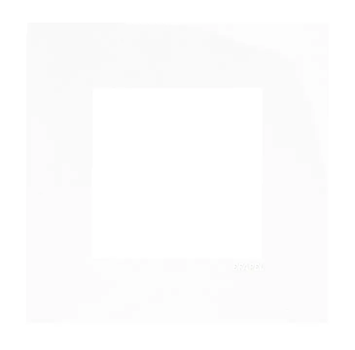 PLACA SIMPLE BLANCO